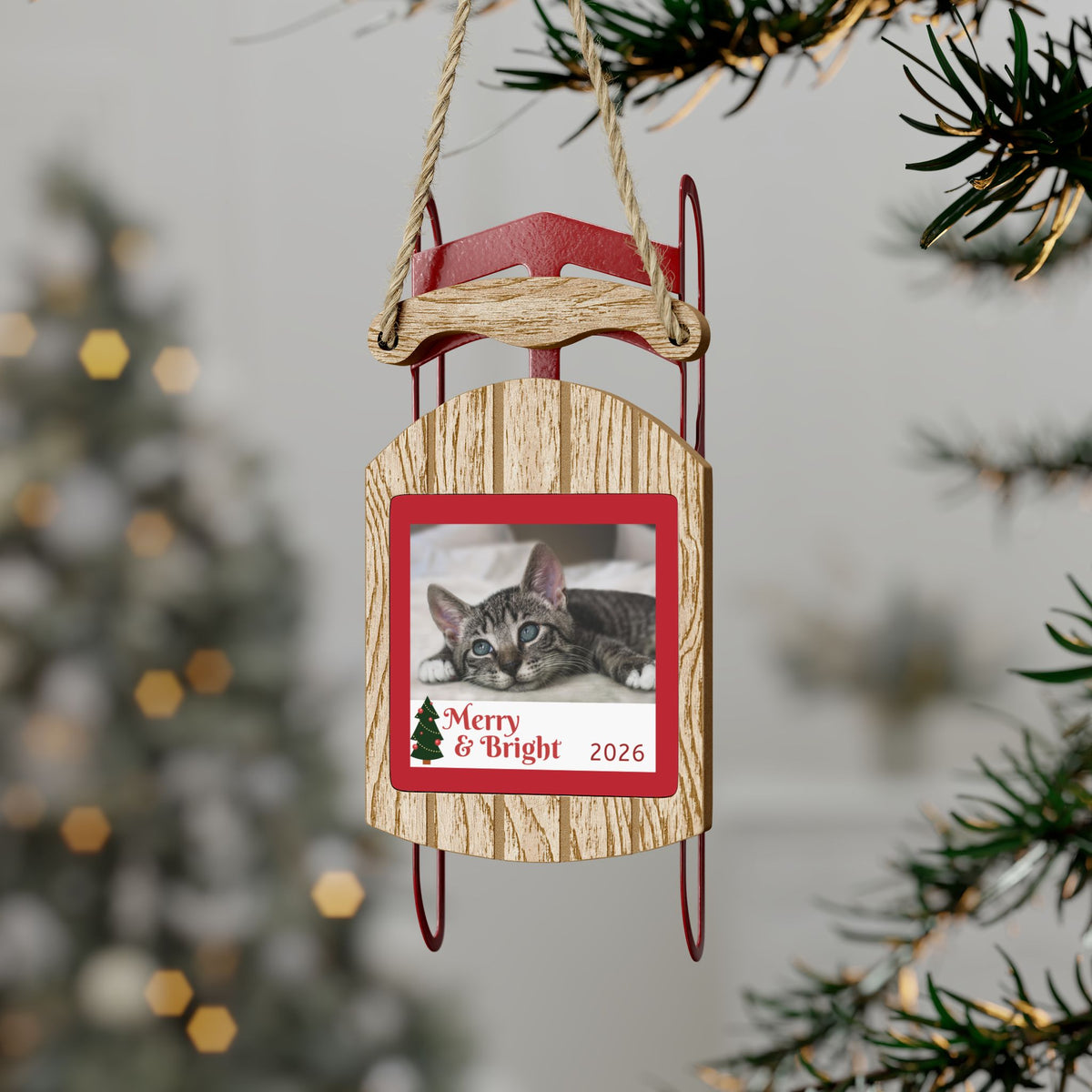 Sled Ornaments