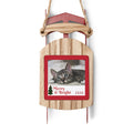Sled Ornaments