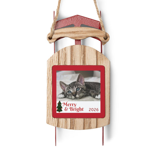 Sled Ornaments