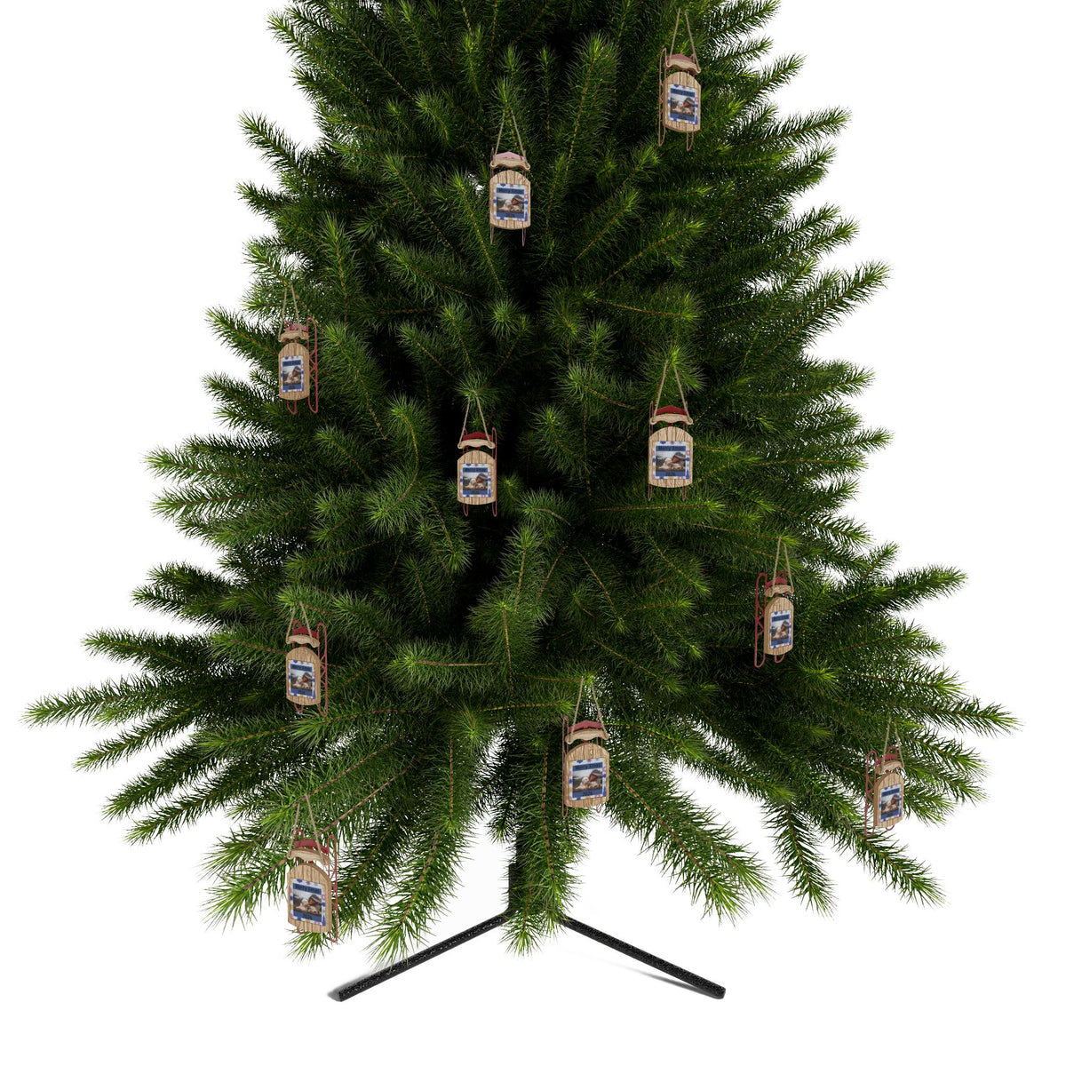 Sled Ornaments